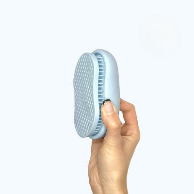 Brushup – Reinigung mit einem Klick